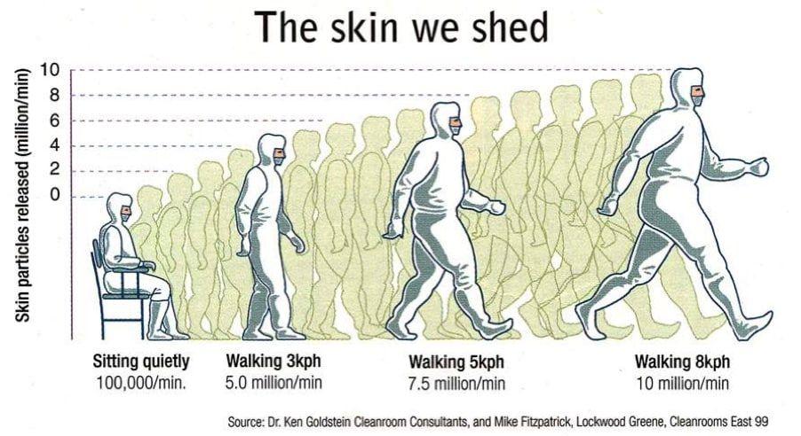 The skin we shed